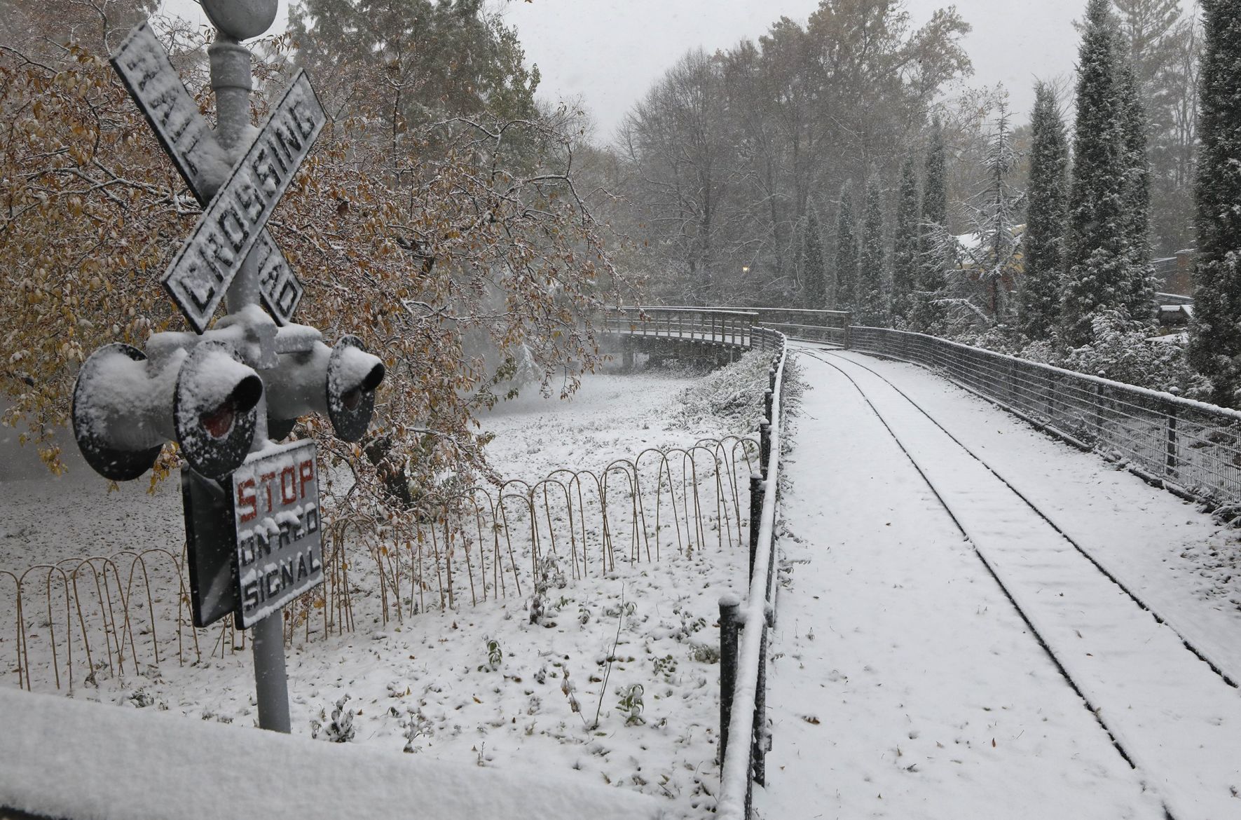 First snow covers the Zoo
